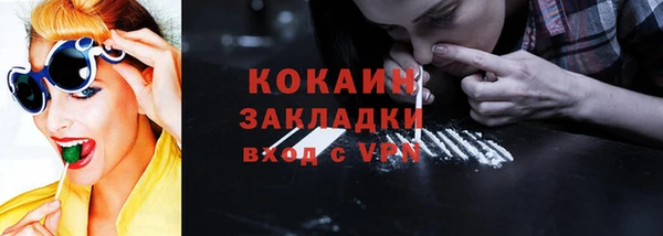 твердый Алексеевка
