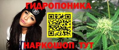 тгк Свободный