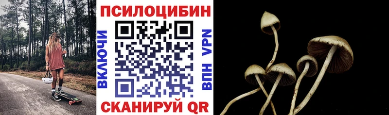 Галлюциногенные грибы мухоморы  где найти   ОМГ ОМГ маркетплейс  Невинномысск 
