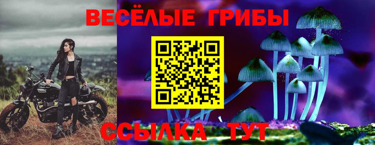 Галлюциногенные грибы мицелий Невинномысск